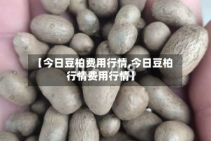 【今日豆柏费用行情,今日豆柏行情费用行情】