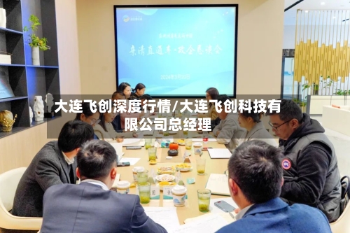 大连飞创深度行情/大连飞创科技有限公司总经理-第2张图片