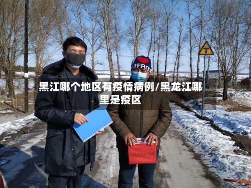 黑江哪个地区有疫情病例/黑龙江哪里是疫区-第2张图片
