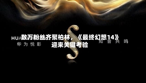 数万粉丝齐聚柏林，《最终幻想14》迎来关键考验-第1张图片