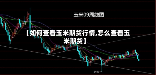 【如何查看玉米期货行情,怎么查看玉米期货】-第3张图片