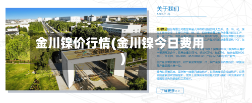 金川镍价行情(金川镍今日费用)-第1张图片