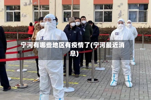 宁河有哪些地区有疫情了(宁河最近消息)-第1张图片
