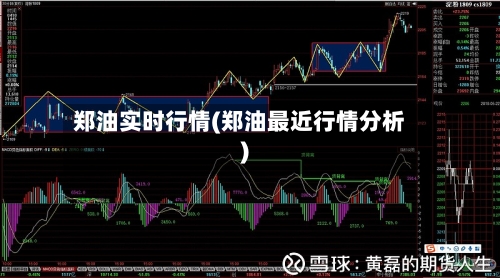 郑油实时行情(郑油最近行情分析)-第1张图片
