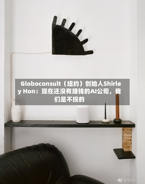 Globoconsult（纽约）创始人Shirley Hon：现在还没有赚钱的AI公司，我们是不投的-第1张图片