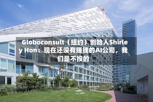 Globoconsult（纽约）创始人Shirley Hon：现在还没有赚钱的AI公司，我们是不投的-第3张图片