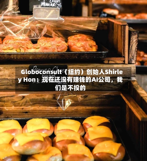 Globoconsult（纽约）创始人Shirley Hon：现在还没有赚钱的AI公司	，我们是不投的-第2张图片