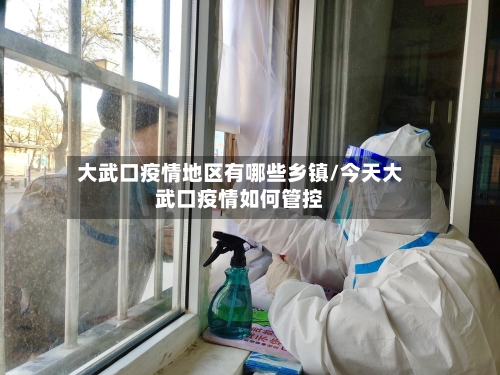 大武口疫情地区有哪些乡镇/今天大武口疫情如何管控-第2张图片