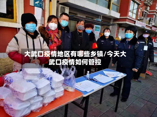 大武口疫情地区有哪些乡镇/今天大武口疫情如何管控-第1张图片