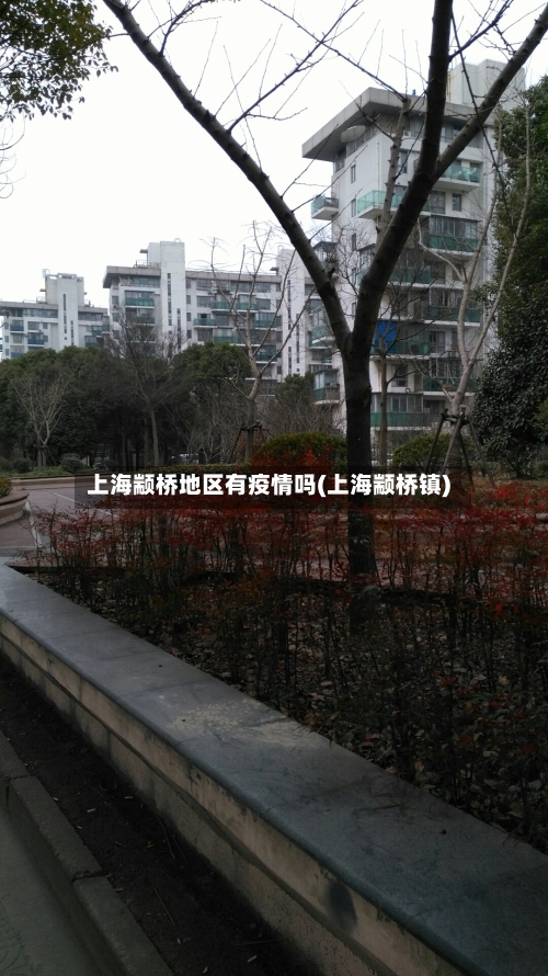 上海颛桥地区有疫情吗(上海颛桥镇)-第3张图片