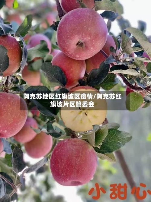 阿克苏地区红旗坡区疫情/阿克苏红旗坡片区管委会-第1张图片