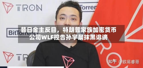 昔日金主反目，特朗普家族加密货币公司WLF控告孙宇晨抹黑诽谤-第3张图片