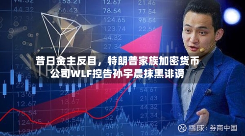 昔日金主反目，特朗普家族加密货币公司WLF控告孙宇晨抹黑诽谤-第2张图片