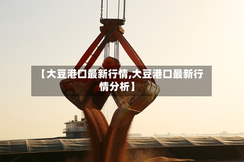 【大豆港口最新行情,大豆港口最新行情分析】-第2张图片