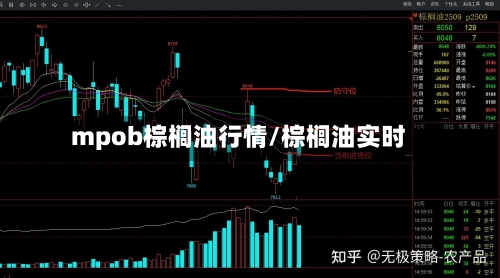 mpob棕榈油行情/棕榈油实时-第1张图片