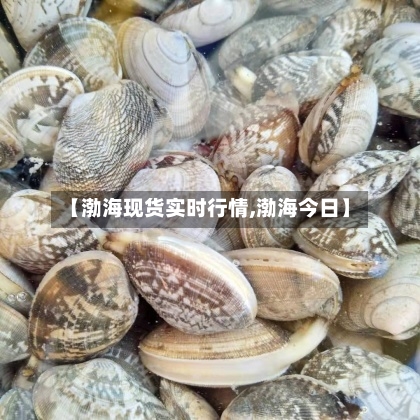 【渤海现货实时行情,渤海今日】-第1张图片