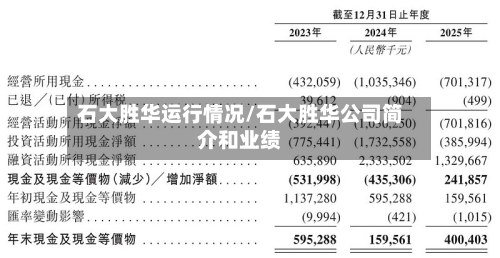 石大胜华运行情况/石大胜华公司简介和业绩-第2张图片