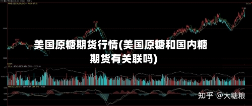 美国原糖期货行情(美国原糖和国内糖期货有关联吗)-第2张图片