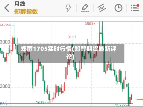 郑醇1705实时行情(郑醇期货最新评论)-第1张图片