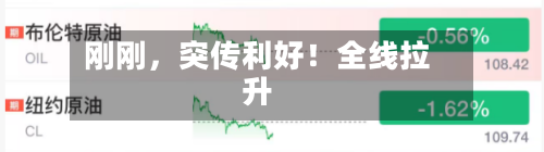 刚刚，突传利好！全线拉升-第1张图片