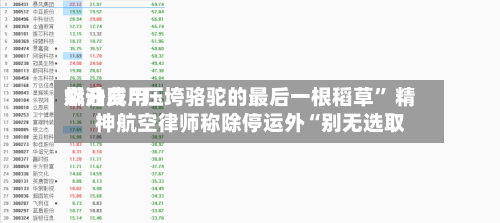 燃油费用飙升成“压垮骆驼的最后一根稻草	” 精神航空律师称除停运外“别无选取”-第3张图片