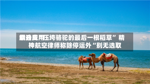 燃油费用飙升成“压垮骆驼的最后一根稻草” 精神航空律师称除停运外“别无选取”-第1张图片