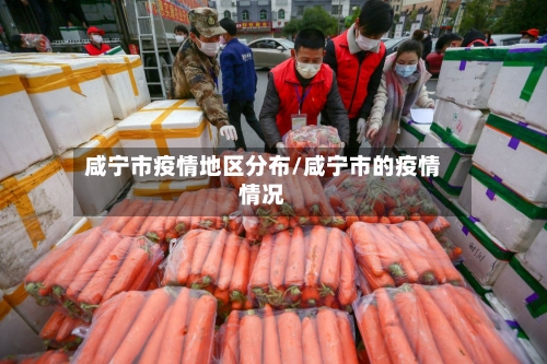 咸宁市疫情地区分布/咸宁市的疫情情况-第1张图片