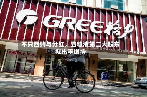 不只回购与分红，五粮液第二大股东拟出手增持-第3张图片