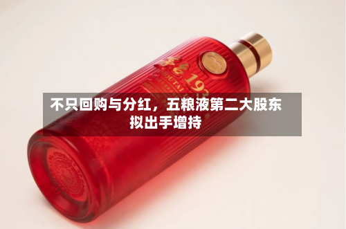 不只回购与分红，五粮液第二大股东拟出手增持-第2张图片