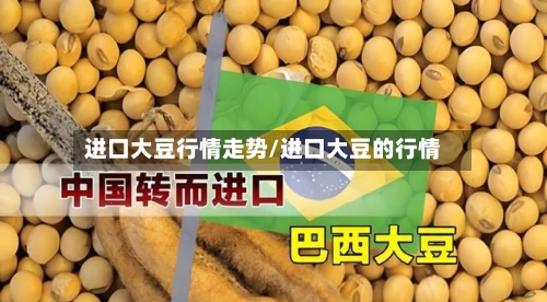 进口大豆行情走势/进口大豆的行情-第1张图片
