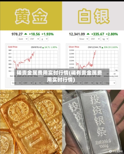 稀贵金属费用实时行情(稀有贵金属费用实时行情)-第1张图片