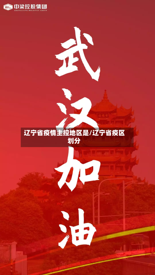 辽宁省疫情主控地区是/辽宁省疫区划分-第2张图片