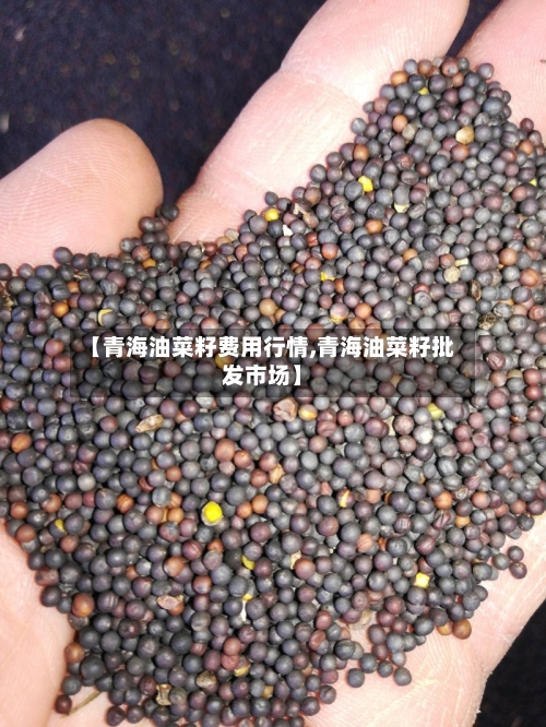 【青海油菜籽费用行情,青海油菜籽批发市场】-第2张图片