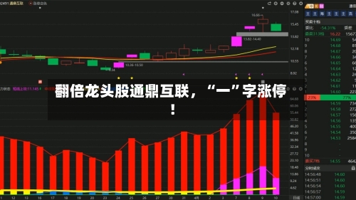 翻倍龙头股通鼎互联，“一”字涨停！-第3张图片