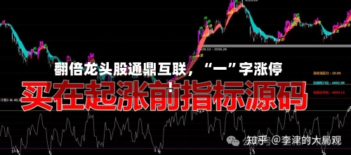 翻倍龙头股通鼎互联，“一”字涨停！-第2张图片
