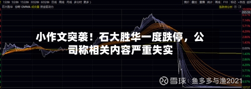 小作文突袭！石大胜华一度跌停	，公司称相关内容严重失实-第3张图片