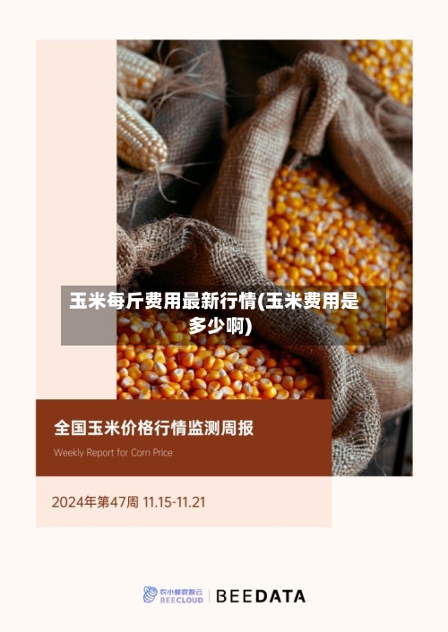 玉米每斤费用最新行情(玉米费用是多少啊)-第1张图片