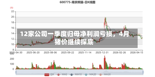 12家公司一季度归母净利润亏损	，4月猪价继续探底-第1张图片