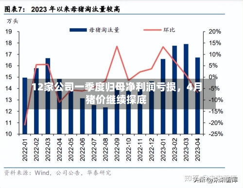 12家公司一季度归母净利润亏损，4月猪价继续探底-第2张图片