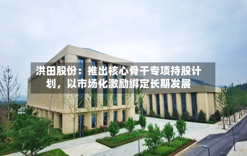 洪田股份：推出核心骨干专项持股计划，以市场化激励绑定长期发展-第1张图片