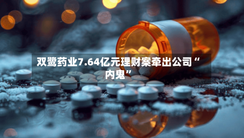 双鹭药业7.64亿元理财案牵出公司“内鬼”-第2张图片