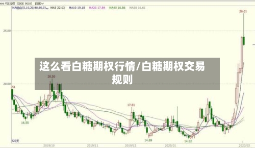 这么看白糖期权行情/白糖期权交易规则-第1张图片