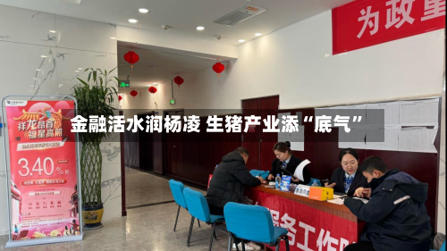 金融活水润杨凌 生猪产业添“底气”-第1张图片