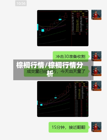 棕榈行情/棕榈行情分析-第3张图片