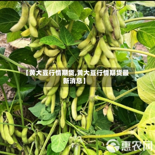 【黄大豆行情期货,黄大豆行情期货最新消息】-第1张图片