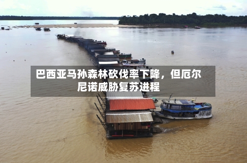 巴西亚马孙森林砍伐率下降，但厄尔尼诺威胁复苏进程-第1张图片