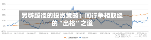 另辟蹊径的投资策略：同行争相取经的“出格”之道-第1张图片
