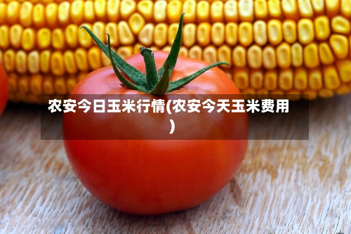 农安今日玉米行情(农安今天玉米费用)-第3张图片