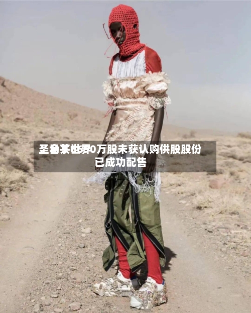 圣马丁世界：合共6690万股未获认购供股股份已成功配售-第1张图片