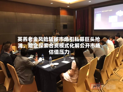 英养老金风险转移市场引私募巨头抢滩	，险企探索合资模式化解公开市场估值压力-第1张图片